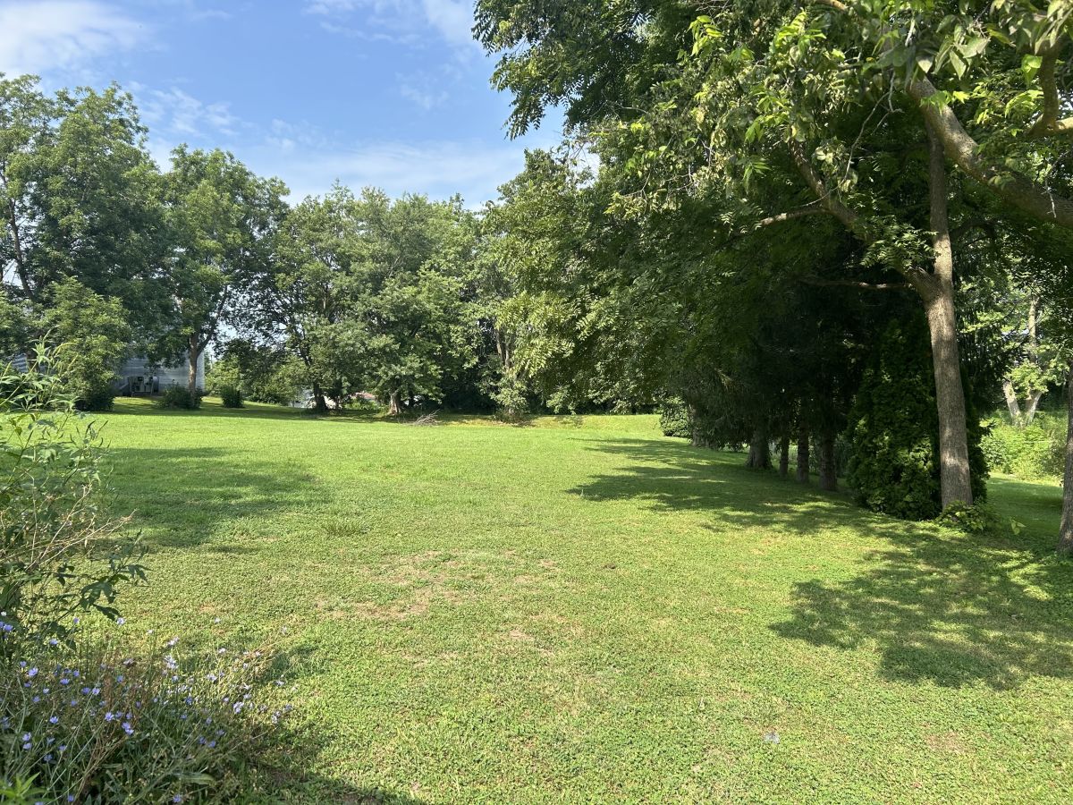 109 & 121 N. Elm St., Winchester, IL  62694