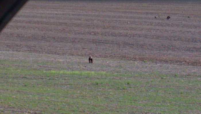 Something You Don't See Everyday!